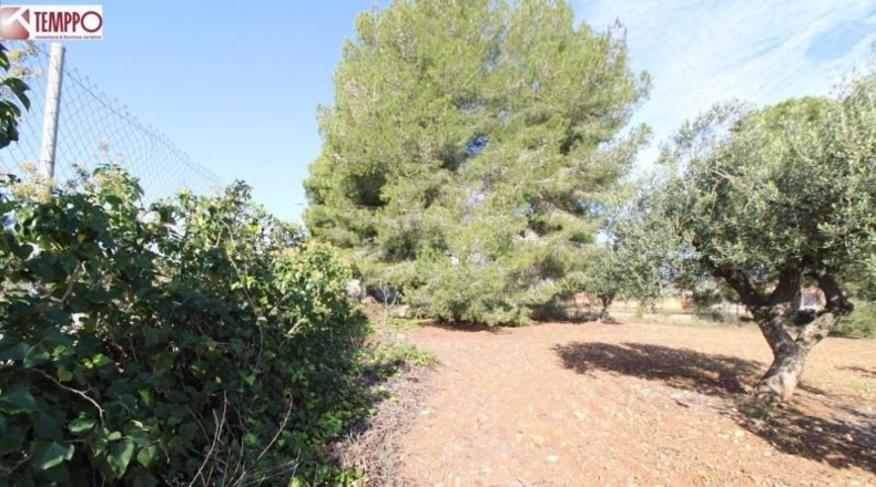 Tarragona - la Bisbal del Penedès - 702m2