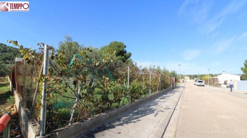 Tarragona - la Bisbal del Penedès - 702m2
