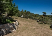 Terreny no urbanitzable en venda a la España, Navas del Rey, ref.: TR130607 foto
