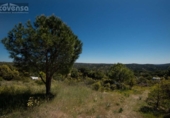 Terreny no urbanitzable en venda a la España, Navas del Rey, ref.: TR130607 foto