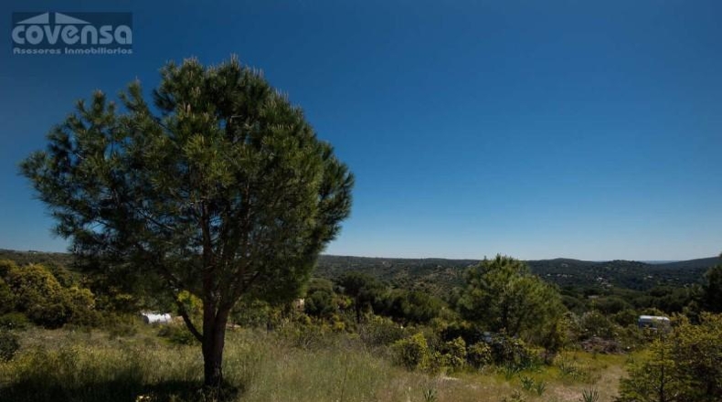 Community of Madrid - Navas del Rey - 1800m2