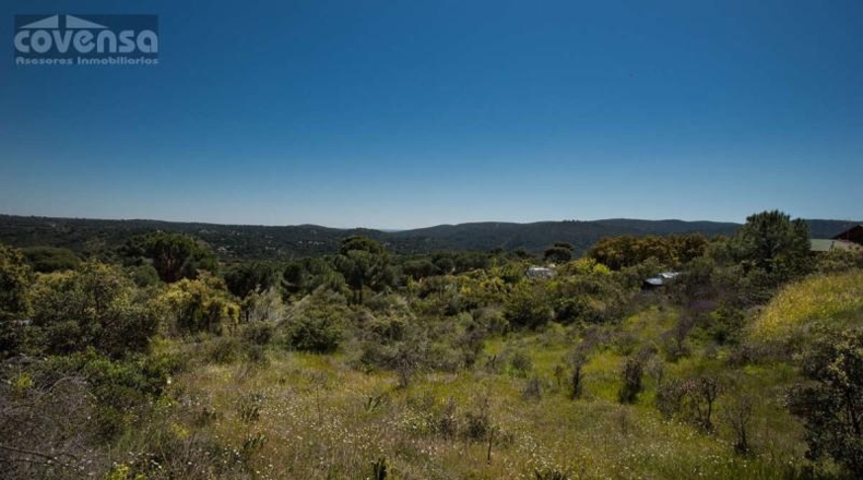 Community of Madrid - Navas del Rey - 1800m2
