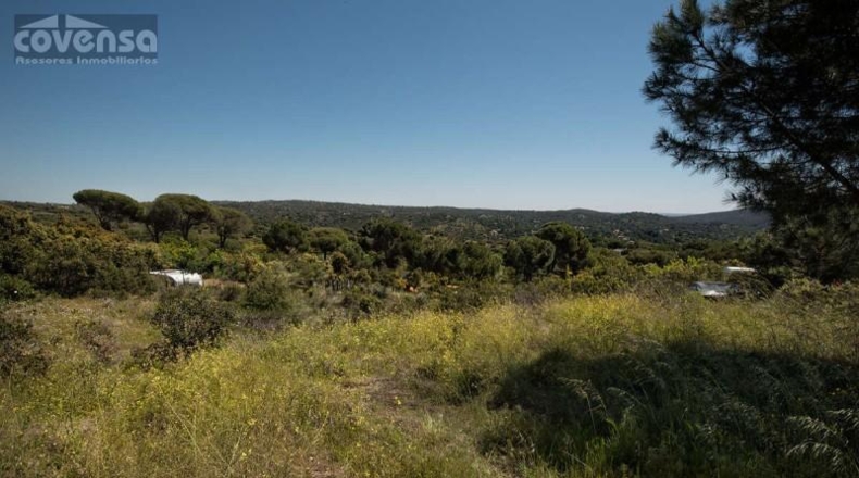 Community of Madrid - Navas del Rey - 1800m2