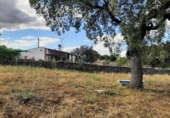 Non-developable land for sale on España, Casar de Cáceres, ref: TR130826 photo
