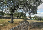 Non-developable land for sale on España, Casar de Cáceres, ref: TR130826 photo