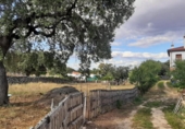 Non-developable land for sale on España, Casar de Cáceres, ref: TR130826 photo