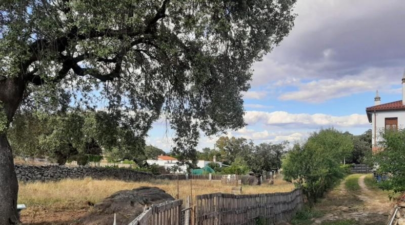 Caceres - Casar de Cáceres - 2500m2