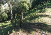 Urban land for sale on España, Argentona, ref: TR130998 photo