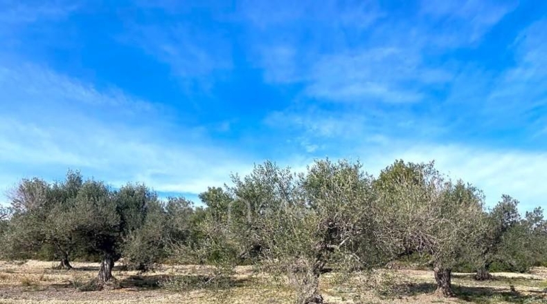 Tarragona - el Perelló - 19535m2