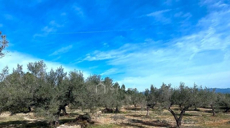 Tarragona - el Perelló - 19535m2