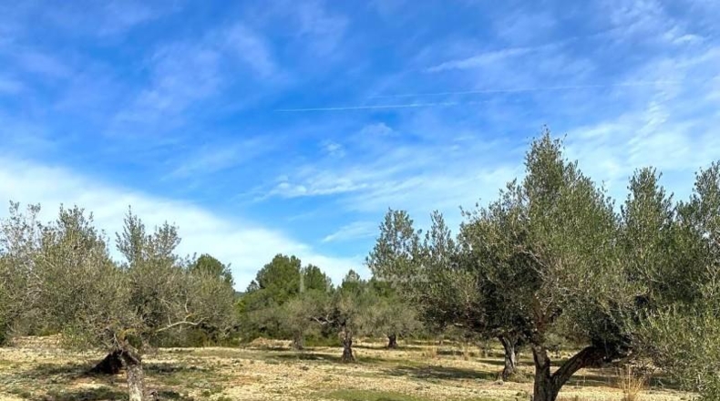 Tarragona - el Perelló - 19535m2