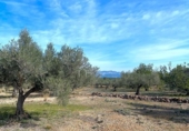 Terreny no urbanitzable en venda a la España, el Perelló, ref.: TR131777 foto