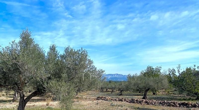 Tarragona - el Perelló - 19535m2
