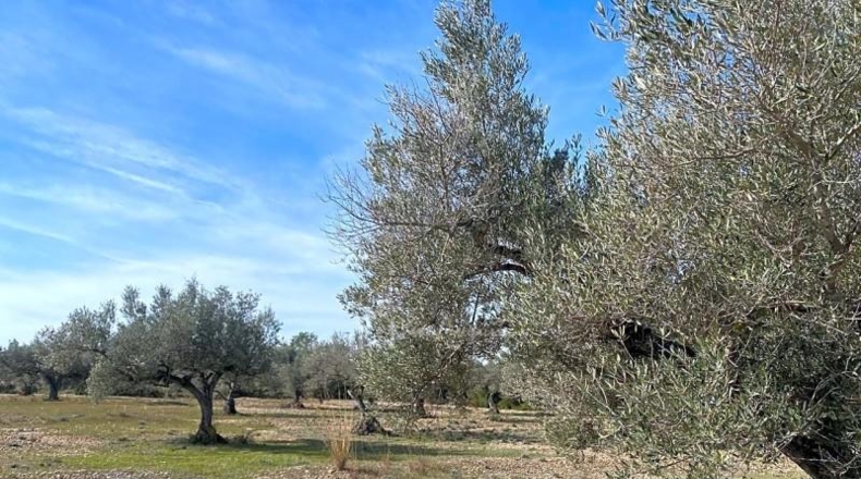 Tarragona - el Perelló - 19535m2
