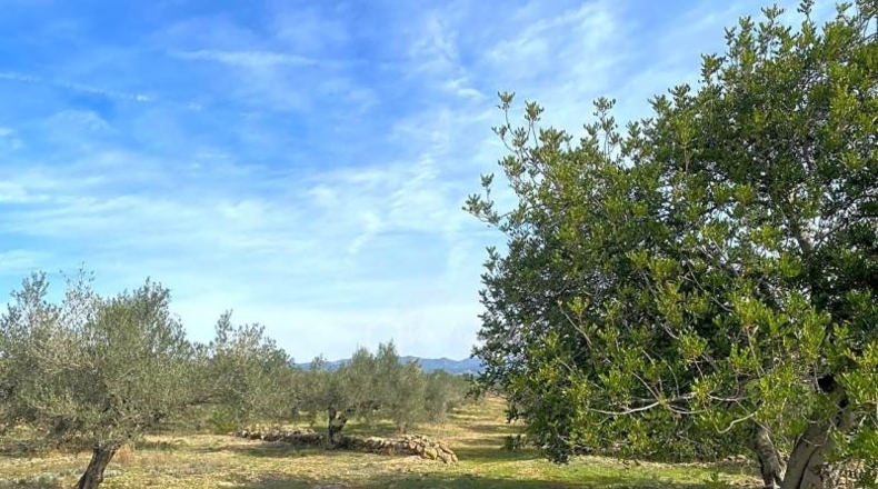Tarragona - el Perelló - 19535m2