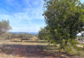 Terreny no urbanitzable en venda a la España, el Perelló, ref.: TR131777 foto