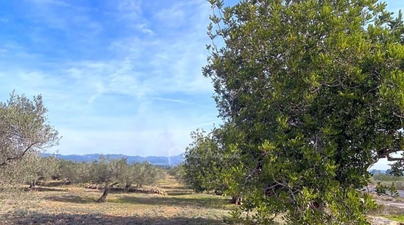 Tarragona - el Perelló - 19535m2