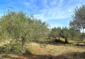 Terreny no urbanitzable en venda a la España, el Perelló, ref.: TR131777 foto