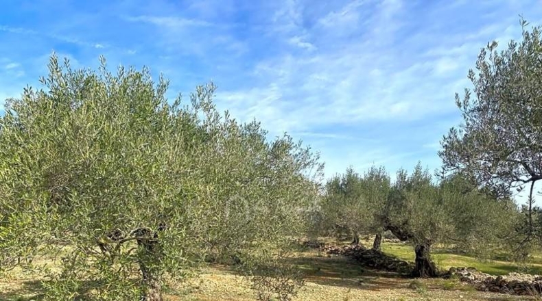 Tarragona - el Perelló - 19535m2