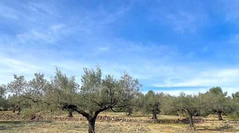 Tarragona - el Perelló - 19535m2
