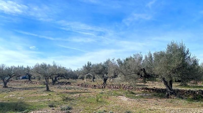 Tarragona - el Perelló - 19535m2