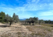 Terreny no urbanitzable en venda a la España, el Perelló, ref.: TR131777 foto