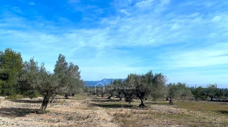 Tarragona - el Perelló - 19535m2