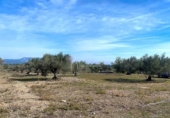 Terreny no urbanitzable en venda a la España, el Perelló, ref.: TR131777 foto