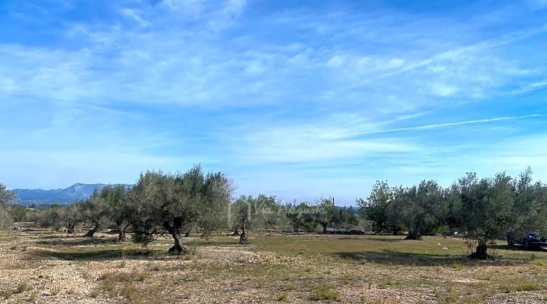 Tarragona - el Perelló - 19535m2