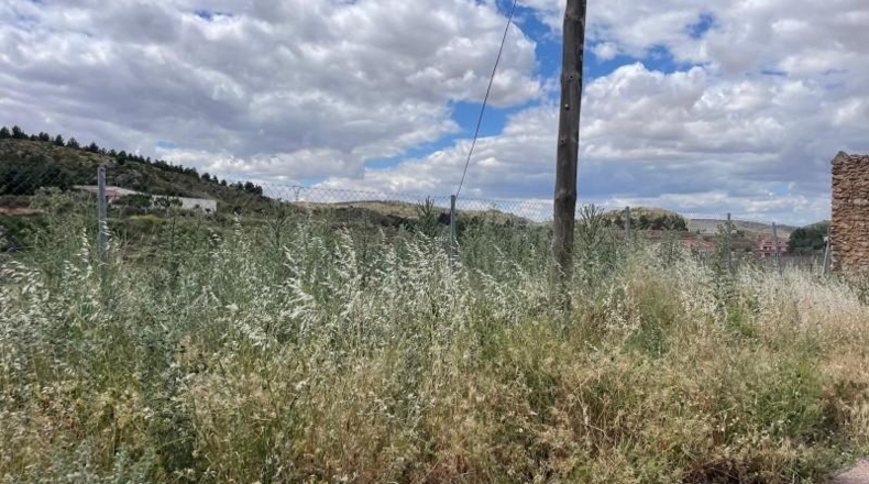 Albacete - Fuentealbilla - 2439m2