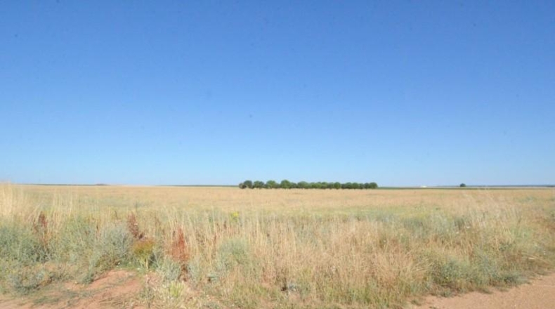 Salamanca - Castellanos de Villiquera - 15385m2