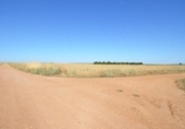 Terreny no urbanitzable en venda a la España, Castellanos de Villiquera, ref.: TR165465 foto