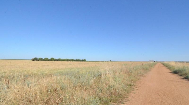 Salamanca - Castellanos de Villiquera - 15385m2