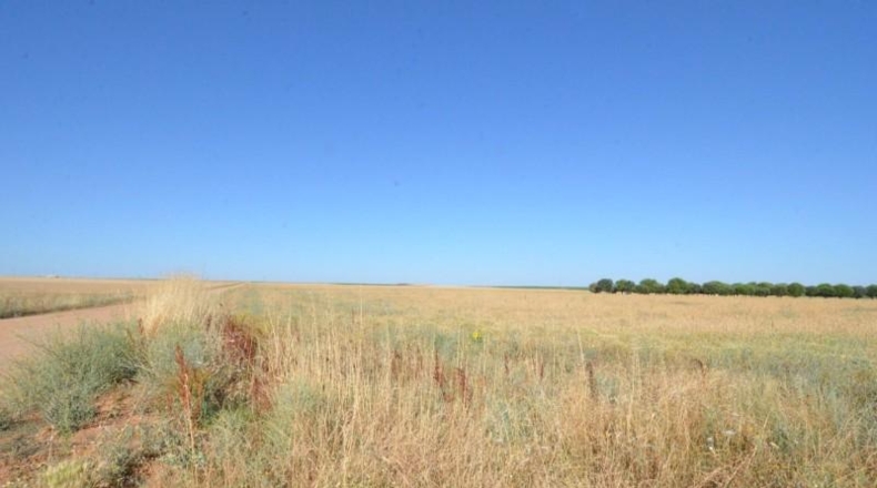 Salamanca - Castellanos de Villiquera - 15385m2