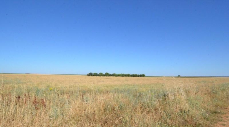 Salamanca - Castellanos de Villiquera - 15385m2