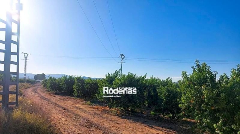 Murcia - Jumilla - 7299m2