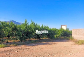 Jumella 7299&nbsp;m² 