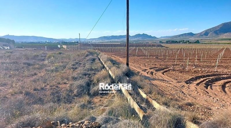 Murcia - Jumilla - 7299m2