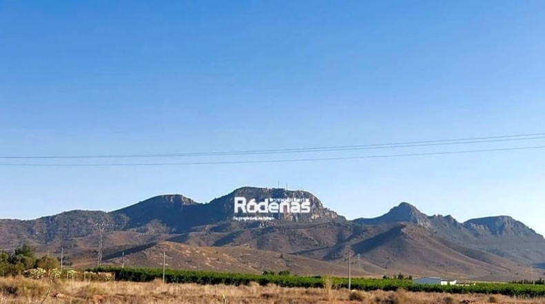 Murcia - Jumilla - 7299m2
