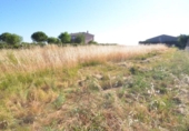 Parcel·la urbanitzable en venda a la España, Castellanos de Villiquera, ref.: TR165847 foto