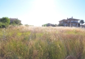 Parcel·la urbanitzable en venda a la España, Castellanos de Villiquera, ref.: TR165847 foto