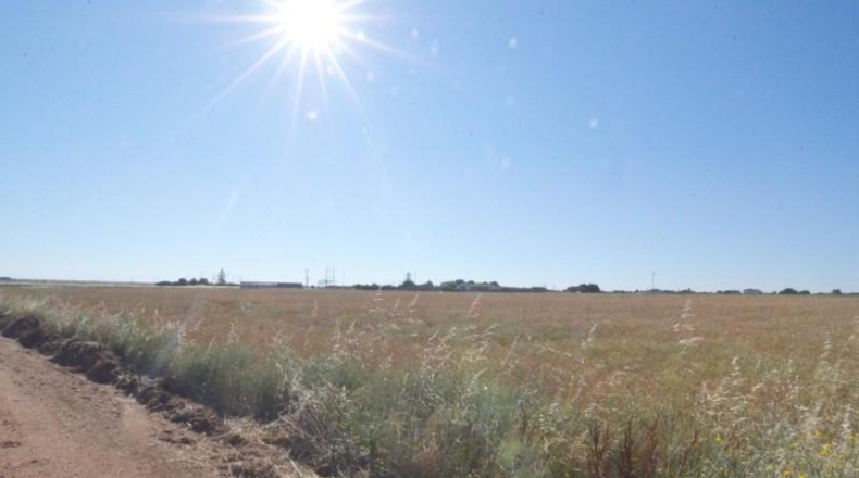 Salamanca - Castellanos de Villiquera - 24993m2
