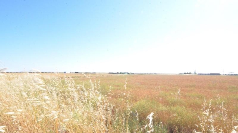Salamanca - Castellanos de Villiquera - 24993m2