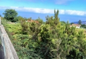 Non-developable land for sale on España, La Orotava, ref: TR170533 photo