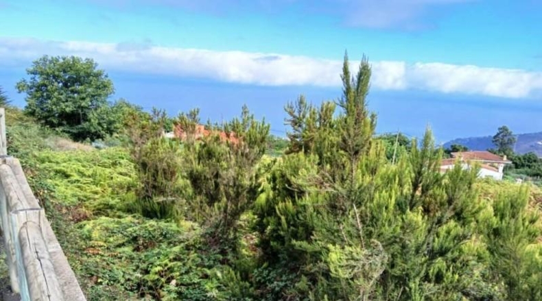 Santa Cruz de Tenerife - La Orotava - 3222m2