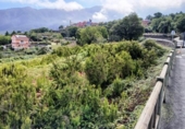 Non-developable land for sale on España, La Orotava, ref: TR170533 photo