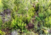 Non-developable land for sale on España, La Orotava, ref: TR170533 photo