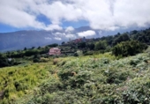Non-developable land for sale on España, La Orotava, ref: TR170533 photo