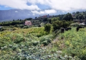 Non-developable land for sale on España, La Orotava, ref: TR170533 photo