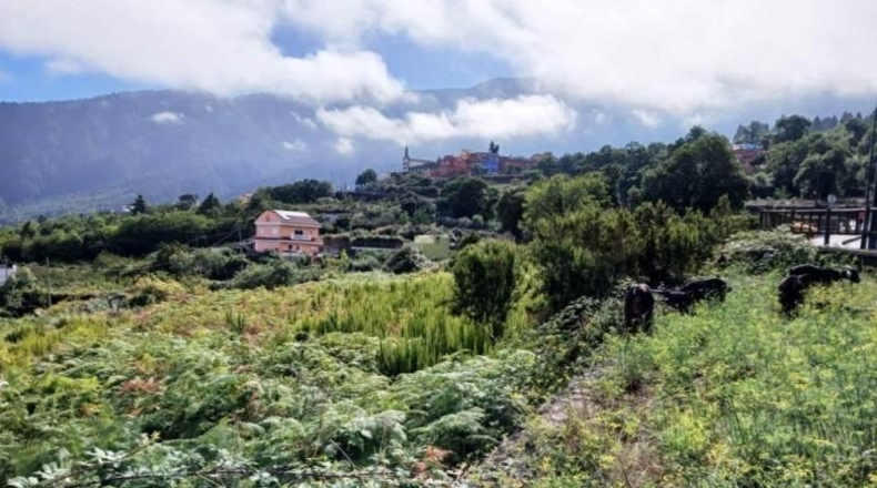 Santa Cruz de Tenerife - La Orotava - 3222m2